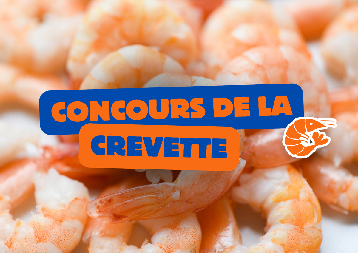 Concours de la crevette Baifenbai : découvrez les 10 recettes
